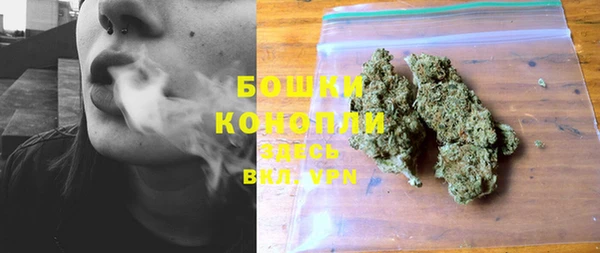 дживик Баксан