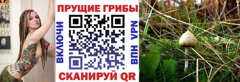 Псилоцибиновые грибы ЛСД  Обоянь 